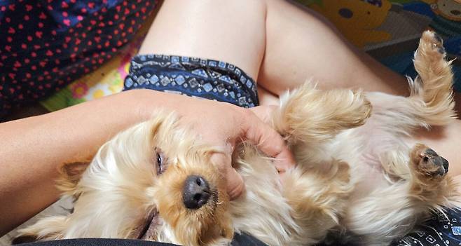 20250504_214743.jpg 저녁 아들 연습경기라 와이프 생일 기념 피자 치킨 배달ㅋㅋㅋ