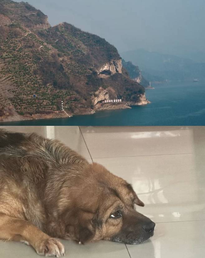 20250505171529_LA1bpihUss.jpg 북한에 있다는 댕댕이 섬.JPG