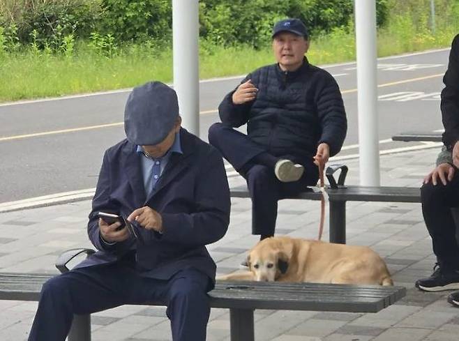 5일 서울 동작대교 부근 한강공원에서 포착된 윤석열 전 대통령과 반려견의 모습. 온라인 커뮤니티 캡처