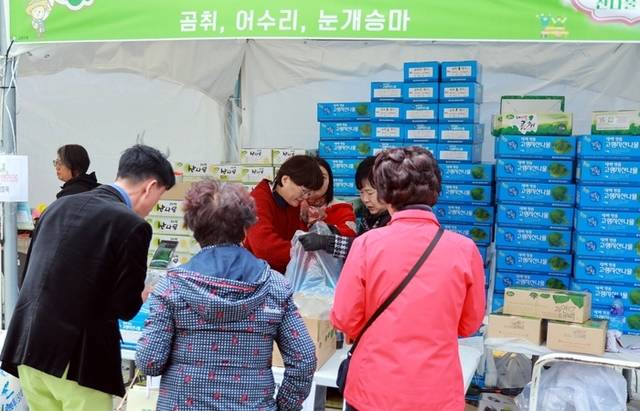 ▲ 지난 2일부터 4일까지 광산 역사의 중심지 장성 탄탄마당에서 열린 ‘2025년 태백 천상의 산나물 축제’가 송가인·나태주·박군 등 유명 트롯 가수들의 총출동한 가운데 고원지역 산나물의 맛과 우수성을 알리며 성황리에 막을 내렸다. 2025년 태백 천상의 산나물 축제 모습.
