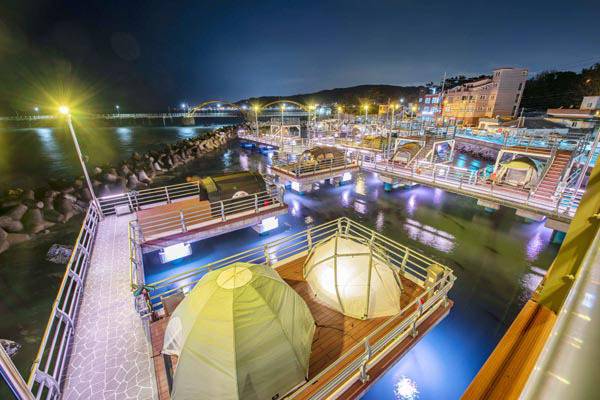 국내 한 캠핑장 모습. 사진은 기사 내용과 관련이 없음. 국제신문DB