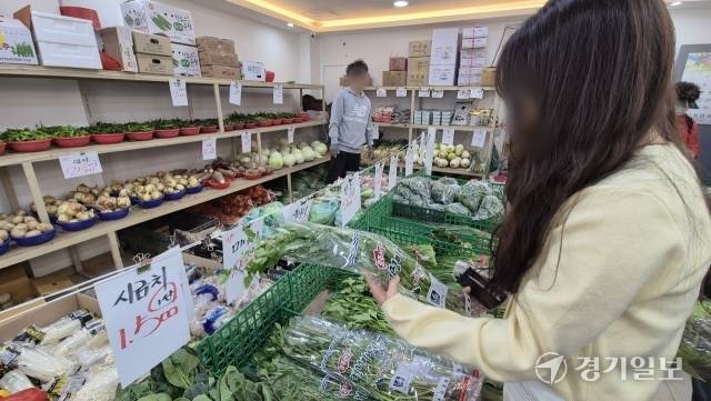 5일 오후 1시께 청과물 가게에서 만난 김유경씨(28)가 미나리를 살펴보고 있다. 금유진기자