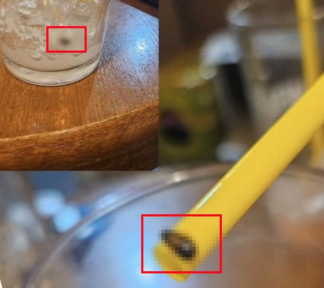 다 마신 음료 컵 안에서 바퀴벌레로 추정되는 물체를 발견한 고객이 본사의 미흡한 대응에 분노했다. /사진=인스타그램 갈무리