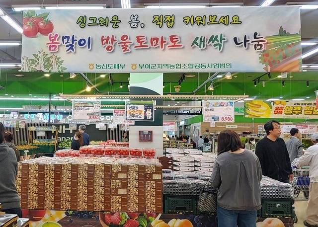 농협경제지주와 충남 부여군지역농협조합공동사업법인은 가정의 달을 맞아 6일까지 농협하나로마트에서 대추방울토마토 구매 고객에게 방울토마토 모종을 증정한다.