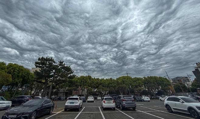 5일 제주 하늘에 거친물결 구름이 관찰됐다. 구름 속 공기 덩어리 파동이 구름 안에 갇혀서 올라갔다 내려갔다를 반복했다. 뉴시스