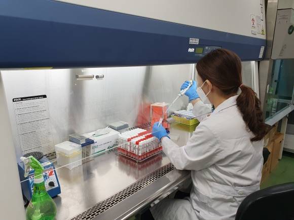 대전시의 119구급차 15대에 대해 호흡기 바이러스 13종에 대한 환경 검사를 실시한 결과 모든 구급차에서 바이러스가 검출되지 않았다. 대전시