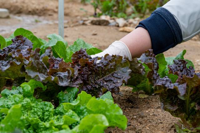 해당 기사와 무관. 이미지투데이