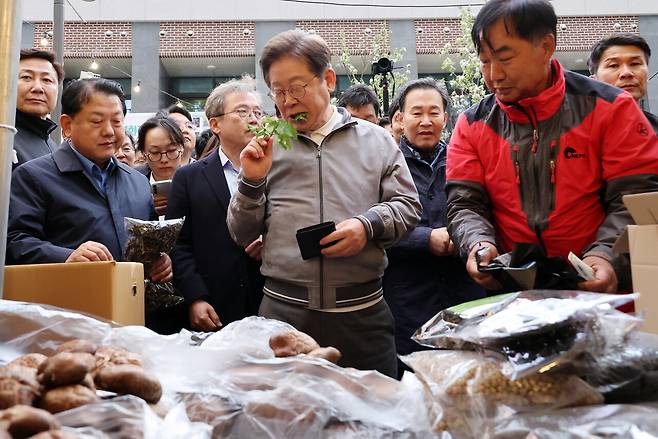 더불어민주당 이재명 대선 후보가 ‘골목골목 경청투어’ 사흘째인 5월3일 강원도 태백시 장성동 산나물 축제장을 찾아 지역 특산물인 생 어수리 나물을 맛보고 있다. ⓒ연합뉴스