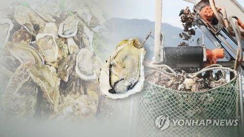 굴 [연합뉴스 자료사진]