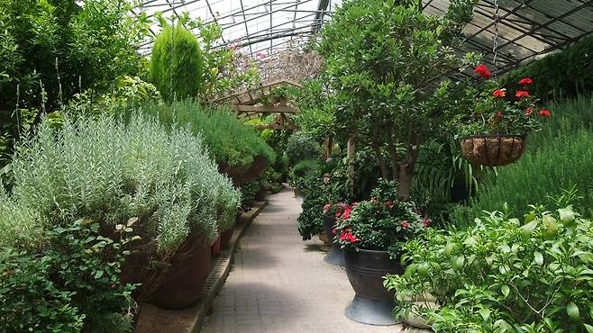 허브 식물박물관 내부. 사진=허브아일랜드 제공