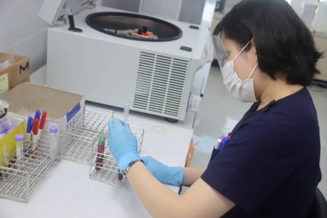 한국장기조직기증원 소속 검사원이 뇌사 기증자의 세포를 분리하는 모습. 한국장기조직기증원 제공