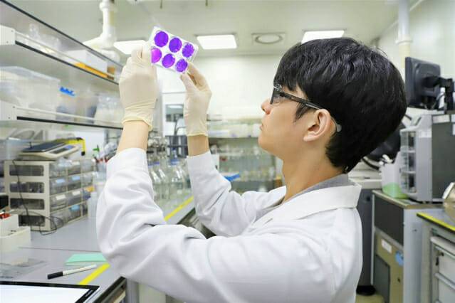 연구원이 조류독감 백신 후보물질에 대한 분석 실험중이다(제공=SK바이오사이언스)