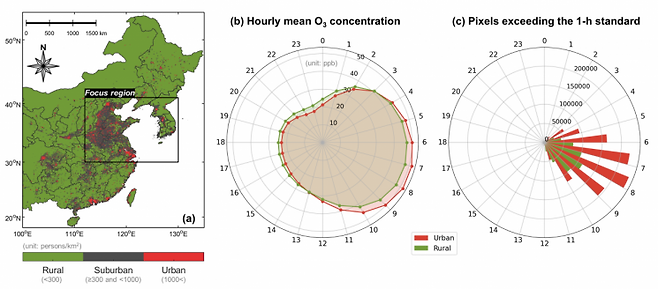 도심과 농촌 지역의 시간대별 오존 농도와 기준 초과 분포 비교.
