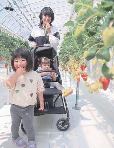 한 가족이 히로시마시 과일 학교를 방문했다. / 일본농업신문