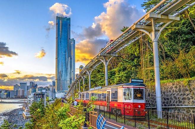 2025~2026 한국관광 100선에 연속 선정된 해운대블루라인파크 해안산책길 '그린레일웨이(미포~송정)'를 따라 해운대해변열차가 달리고 있다. 해운대블루라인파크 제공