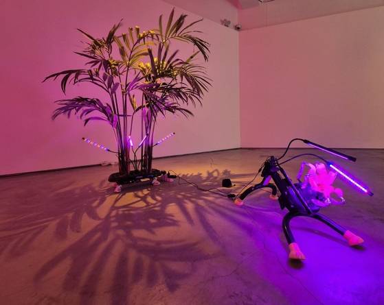 목마사지기, 하체를 강화해주는 운동용품에 조화를 올려 종일 덜덜거리는 레이첼 윤의 'Enraptured(황홀한ㆍ왼쪽)'과 'Beckon(손짓하다)'. 권근영 기자