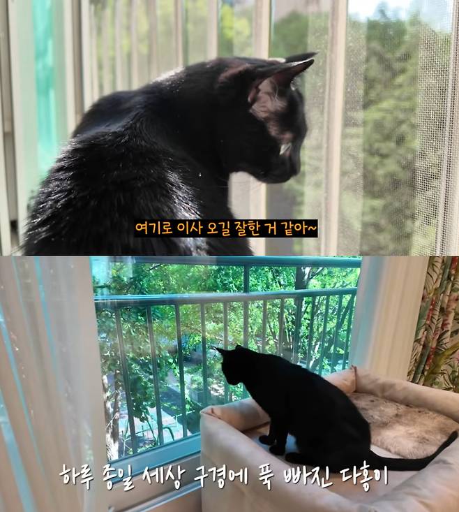 방송인 박수홍이 서울 강남구 압구정으로 이사 간 새 집을 공개했다. /사진=유튜브 영상 갈무리