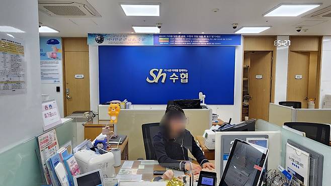 서울  수협 남가좌지점의 강소정(30·가명) 대리가 업무를 보고 있다. [정호원 기자]