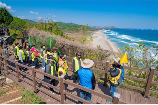 ▲DMZ평화의 길 테마노선 A코스. ⓒ강원특별자치도