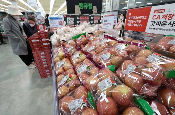 경북 지역에서 최근 발생한 산불 영향으로 과일 생산에 차질이 빚어질 것이란 예측이 나오고 있다. 연합뉴스