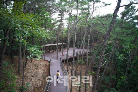 산림환경기능증진자금 지원사업의 일환으로 조성된 왕배산 무장애나눔길. (사진=산림청 제공)