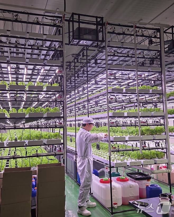 전북자치도 진안군 진안읍 물곡로에서 수직농장을 운영하는 류슬기 대표.(진안군제공. 재판매 및 DB금지)2025.5.7/뉴스1