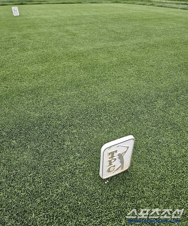 잘 정돈된 티박스 사진=김용 기자