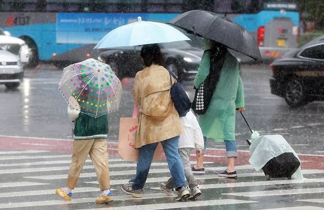 1일 서울 중구 서울광장에서 우산을 쓴 시민들이 횡단보고를 건너고 있다./뉴스1