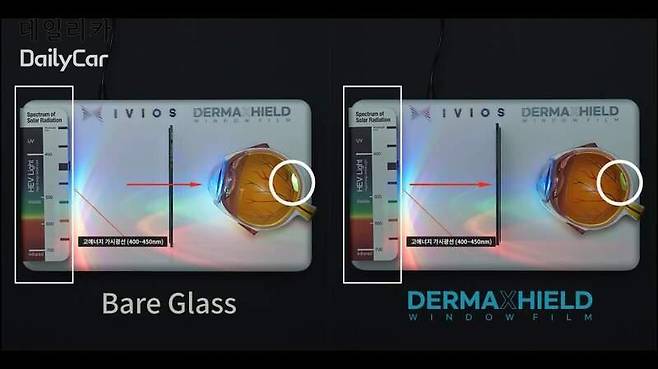 이비오스, 더마쉴드 출시