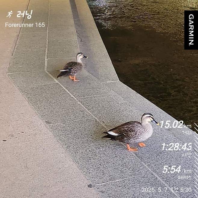 0abcc22becdc1ba960b1d3b602ee766d17c81016ef6411c11c522ad7ff8e169b7a743caf37adc285b01e6e7d71