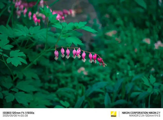 7cea8470b0816af03ce984ed4e9c76734bd8bbb2dca78fc30445d3f7c795796e