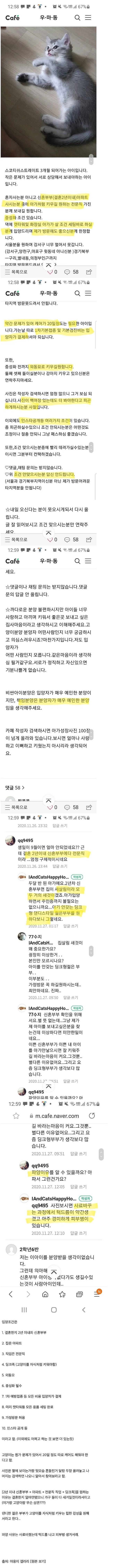 IMG_0829.jpeg 개빡센 고양이 입양조건 레전드.jpg 개빡센 고양이 입양조건 레전드.jpg