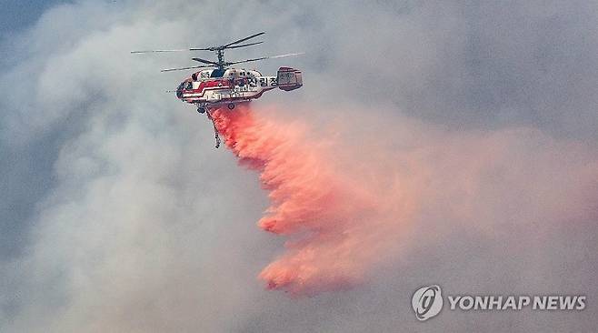 (출처=연합뉴스)