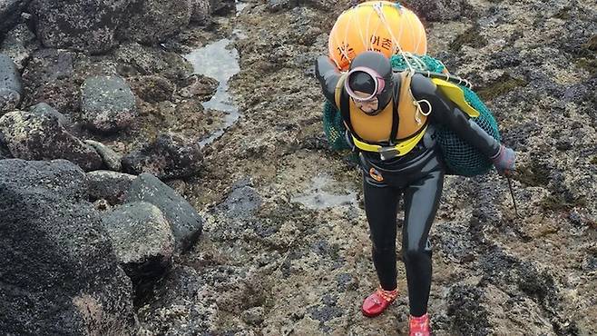 제주 여성의 유전자는 해녀든 해녀가 아니든 상관없이 내륙 여성들과 다른 것으로 나타났다. 멜리사 일라도 교수 제공