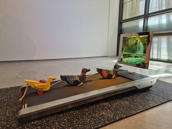 러닝머신 위를 뛰는 오리 장난감은 이민자로서 끊임없이 나아지려 애쓰는 자신의 가족이다. [사진 G갤러리]