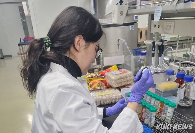 충남도의 성수식품 검사 모습.