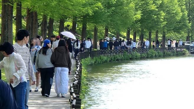 ​영산강 상류에 있는 전남 담양은 전통의 대나무 고장이다. 담양이 초록 댓잎 물결과 은은한 죽향, 청량한 댓잎 소리에 온통 초록으로 물들었다. 머무는 것만으로 절로 힐링이 되는 곳. 담양에선 매해 봄이면 '담양대나무축제'가 펼쳐진다. 올해 축제도 관광객들로 인산인해(人山人海)를 이뤘다. 4일 오후 관광객들이 담양천변을 걷고 있다. ⓒ시사저널 정성환​