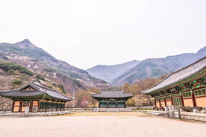 표충서원과 표충사당, 표충사 유물관(왼쪽부터)[사진/백승렬 기자]