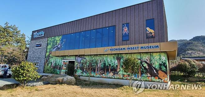 영암 곤충박물관 [연합뉴스 자료]