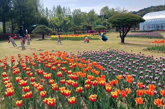 봄꽃 활짝 핀 옥천 농심테마공원  [옥천군 제공. 재판매 및 DB금지]