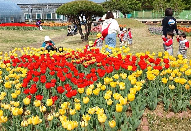 봄꽃 활짝 핀 옥천 농심테마공원  [옥천군 제공. 재판매 및 DB금지]