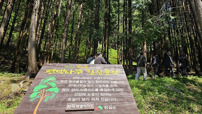 성수산 왕의 숲 [촬영 임성호]