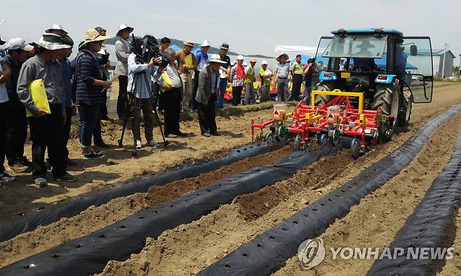 논콩 재배 시연 [연합뉴스 자료사진]