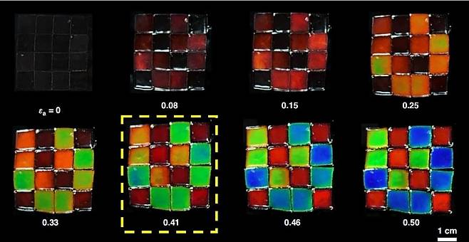 스트레처블 광 암호화 필름 [조선대 제공. 재판매 및 DB 금지]