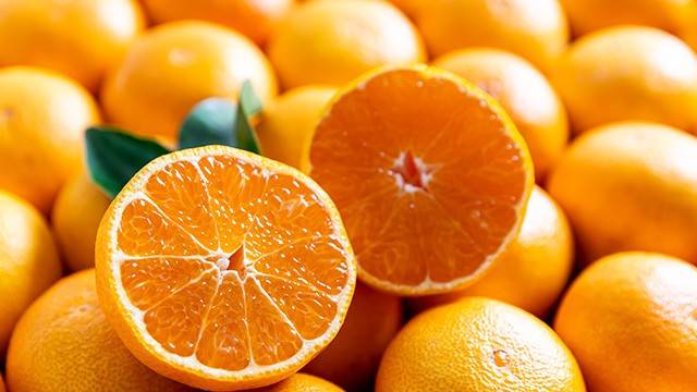 감귤류 껍질은 인지 기능 보호 효과가 있다｜출처: 클립아트코리아