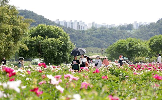 지난해 개최된 '2024 태화강 국가정원 봄꽃축제' 자료사진./뉴스1 ⓒ News1 김지혜 기자