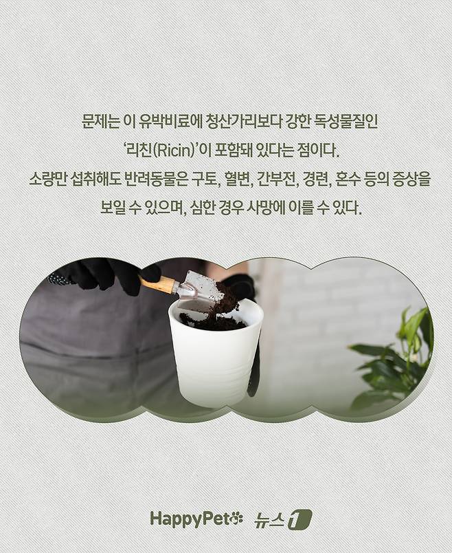 ⓒ News1 윤주희 디자이너