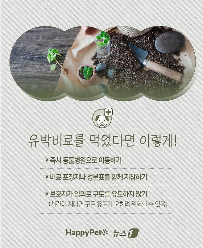 ⓒ News1 윤주희 디자이너