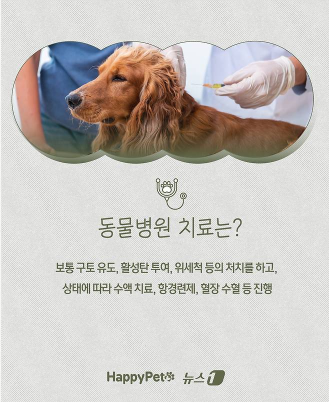 ⓒ News1 윤주희 디자이너