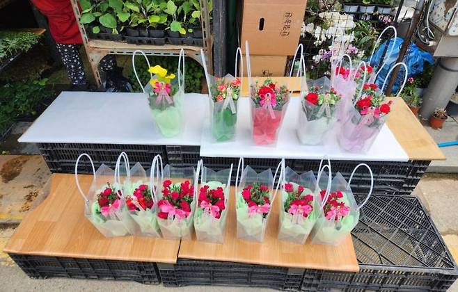 어버이날을 하루 앞둔 7일 찾은 서울 종로꽃시장의 한 매대엔 카네이션 화분이 진열돼 있지만, 찾는 이들의 발길은 뜸했다. 변선진 기자